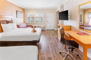Pokój hotelowy z łóżkiem i biurkiem w obiekcie Anaheim Islander Inn and Suites w mieście Anaheim
