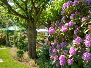 a tree with pink flowers in a garden at Haus S.E.E. in Marienthal