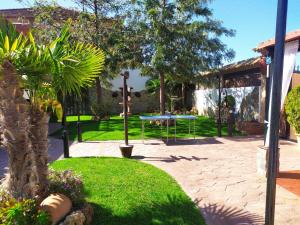 Un patio con mesa, árboles y césped. en Alojamientos Rurales La Esperanza, en Arriate