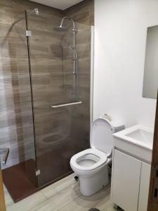 a bathroom with a shower with a toilet and a sink at Casa da Alfândega em Vila do Conde in Vila do Conde