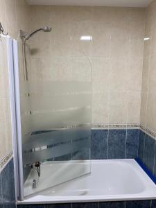 een badkamer met een douche en een bad bij Santiaguiño in Padrón
