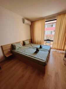 a bedroom with a bed with two cats sitting on it at Lovely studio apartment on the beach in Burgas City