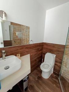 a bathroom with a white toilet and a sink at HOP ODAIBA exclusiva laguna y playa en Chincha in Chincha Baja