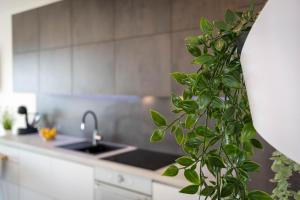 Fotografie z fotogalerie ubytování Apartments Moon v destinaci Dramalj + 20 fotografií