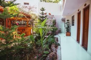 a garden in a house with plants at Villa Loretana in Yurimaguas