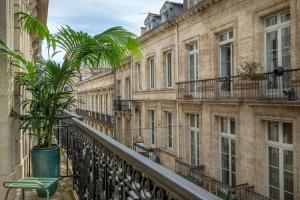 uma varanda com uma palmeira em frente aos edifícios em Best Western Grand Hotel Francais em Bordeaux