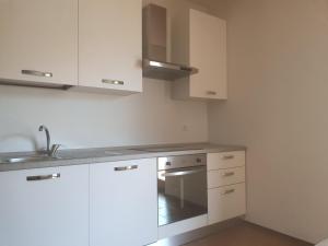 Kuchyňa alebo kuchynka v ubytovaní Ledro Lake Apartment