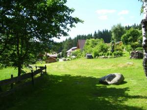 Zahrada ubytování Auerhahn Bed and Breakfast - Black Forest - Waldhotel