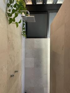 Fotografie z fotogalerie ubytování Mina 32 - Coyoacan v destinaci Mexico City