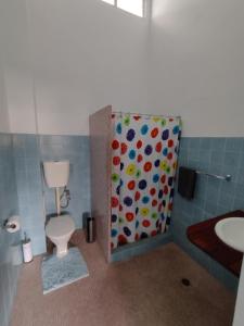 uma casa de banho com um WC, um chuveiro e um lavatório. em Ayr Hotel em Ayr