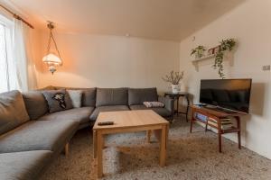 ein Wohnzimmer mit einem Sofa und einem TV in der Unterkunft 4 BR House / Scenic Village / Nature / Hiking in Við Gjógv