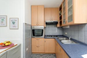 Kuchyňa alebo kuchynka v ubytovaní Apartment Andrej