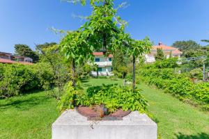 Vonkajšia záhrada v ubytovaní Apartments Ruzica M