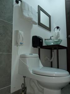 a bathroom with a toilet and a sink at Hotel Jardin De Las Marias in Suchitoto