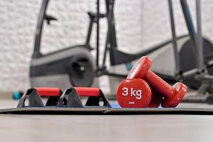 a group of dumbbells sitting on a gym floor at U Paesolu in Sainte-Lucie de Porto-Vecchio