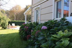 Ein Garten an der Unterkunft Damla Pansiyon