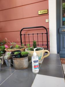 a bottle of water sitting on a table with potted plants at Metohi Georgila in Maleme