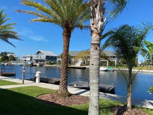 dos palmeras junto a un cuerpo de agua en Waterfront Hernando beach house on deep water canal w/dock, fishing, kayak, en Hernando Beach