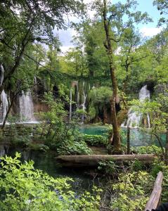 a waterfall in the middle of a forest at Villa Lykos Plitvice in Plitvička Jezera