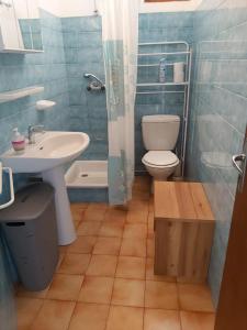 een badkamer met een wastafel, een toilet en een douche bij Appartement 1er étage banyuls sur mer départs et arrivées les samedis in Banyuls-sur-Mer