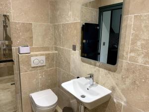 a bathroom with a sink and a toilet and a mirror at Pavillon indépendant en plein centre de Vichy in Vichy