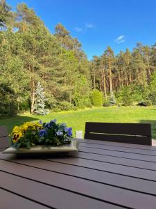 Vonkajšia záhrada v ubytovaní Apartament przy lesie