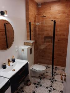 a bathroom with a toilet and a sink and a shower at APARTAMENT PIASTOWSKI in Polanica-Zdrój