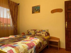 a bedroom with a bed and a window at Casa Zmeilor in Tăşnad