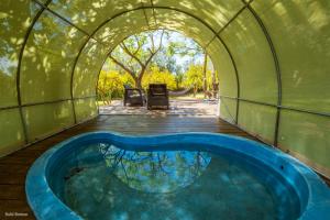 The swimming pool at or close to Amikam Meshek 81 משק 81 עמיקם
