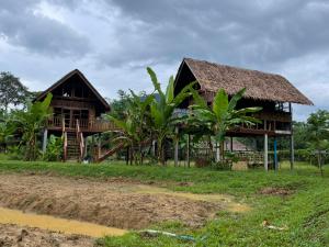 a house in the middle of a field at Our Jungle Camp - Eco Resort in Khao Sok