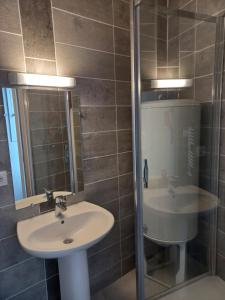 ein Bad mit einem Waschbecken und einer Dusche mit einem Spiegel in der Unterkunft grand studio ✰ 35m² ✰ centre ✰ 4pers/2lits ✰ cuisine ✰ wifi in Candé