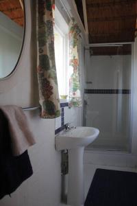 a small bathroom with a sink and a shower at Spring Close Boutique Cottage Nottingham Road in Nottingham Road