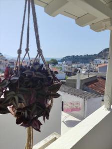 a potted plant hanging from a roof at Ifigenia Studios in Patitiri