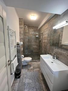 bagno con lavandino, doccia e servizi igienici di ydr residence a Mamaia