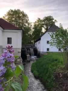 Aed väljaspool majutusasutust Apartmán U Babičky
