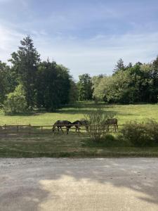 tres caballos pastando en un campo junto a una valla en Chateau Tout Y Fault, en Loriges