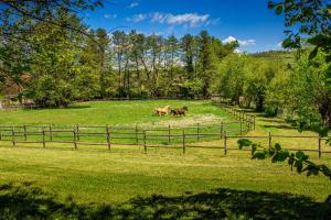 Gallery image of Amigosranch in Kruševac