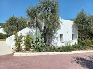 a white house with trees in front of it at HMO Glamping & Suites in Vignanotica in Mattinata