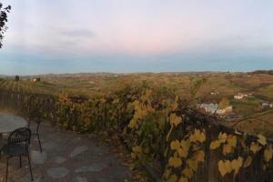 uitzicht op een wijngaard met 2 stoelen en uitzicht bij CANNUBI SAN LORENZO,Mansarda in Barolo