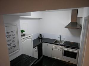 cocina pequeña con fregadero y fogones en Helles 2-Zimmer-Apartment in Ostin am Tegernsee en Gmund am Tegernsee