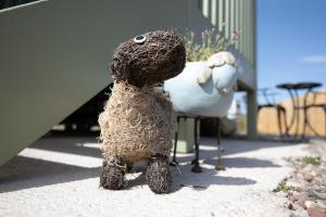Zvířata v prázdninového domu nebo okolí