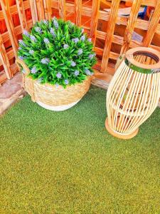 Zwei Körbe mit Blumen im Gras in der Unterkunft The perfect place to relax Bedroom with hot tub, beautiful tropical garden area. Bbq and big open spaces through all the house.It is located in a quiet place, but still 5 min away from the touristic Puerto Rico and walking distance from the beach in Mogán