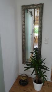 a mirror in a room with a potted plant at FeWo Familie Thoma in Argenbühl