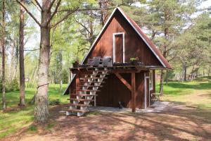 a small cabin with a porch and a staircase in a forest at Cozy Cottage in Sīkrags