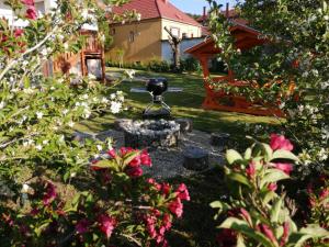 A garden outside Villa Pedro