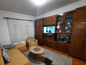 a living room with a couch and a tv at Holiday home TONČICA - Rogotin in Rogotin