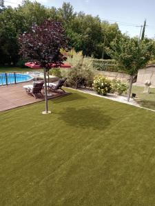 a green lawn with a tree in a yard at chez lulu in Saint-Saturnin-dʼApt