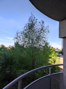 uma vista para uma árvore a partir de uma varanda em Lux Apartment, Liko Grad em Kiev