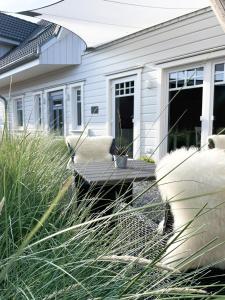 ein weißes Haus mit einer Veranda und etwas Gras in der Unterkunft Landhaus Nordstern Hotel garni in Utersum