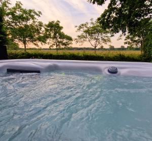 a jacuzzi tub with water and trees in the background at B&B de Scherpenhof, landelijk gelegen met optie jacuzzi in Leur